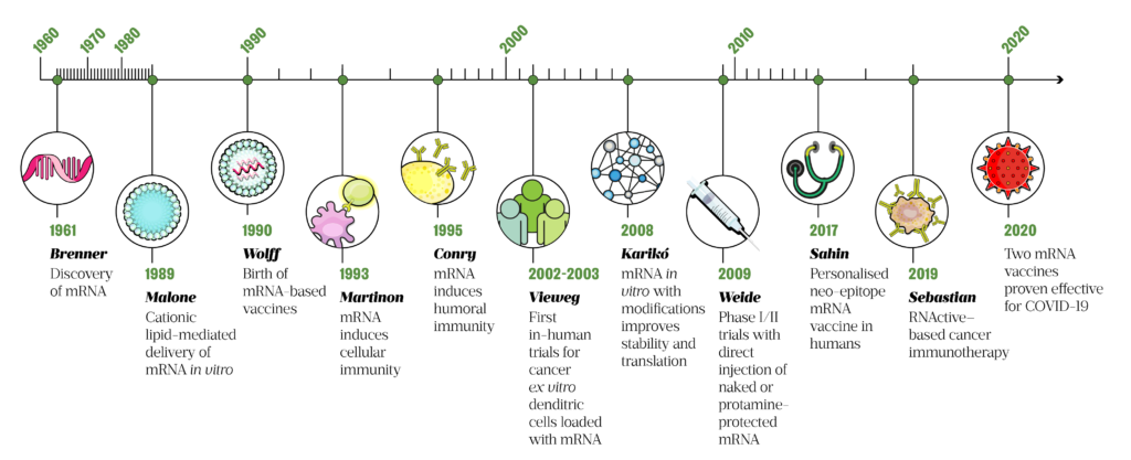 Understanding Mrna Vaccine Technologies The Pharmaceutical Journal