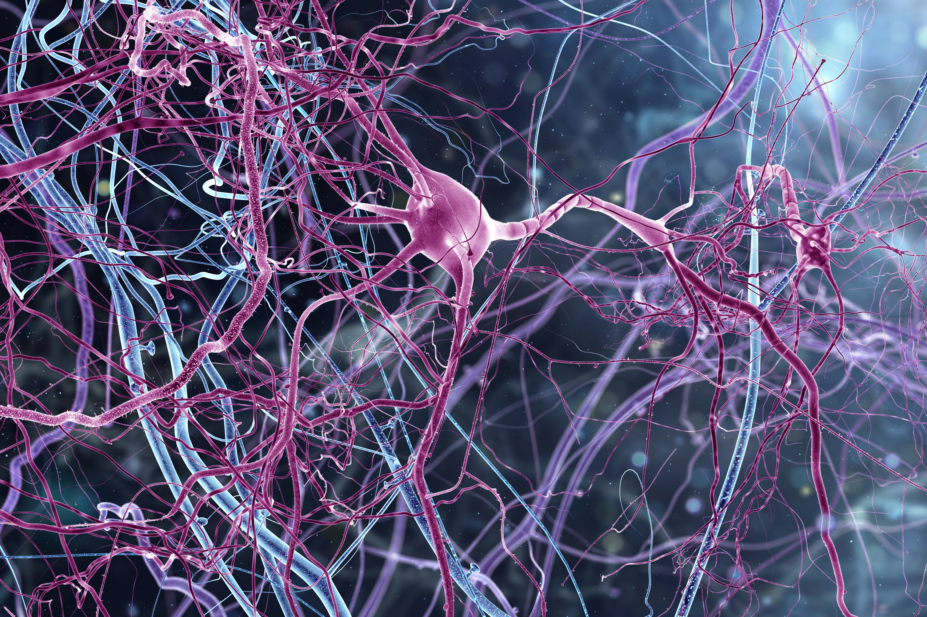 3D render of neurons in the brain