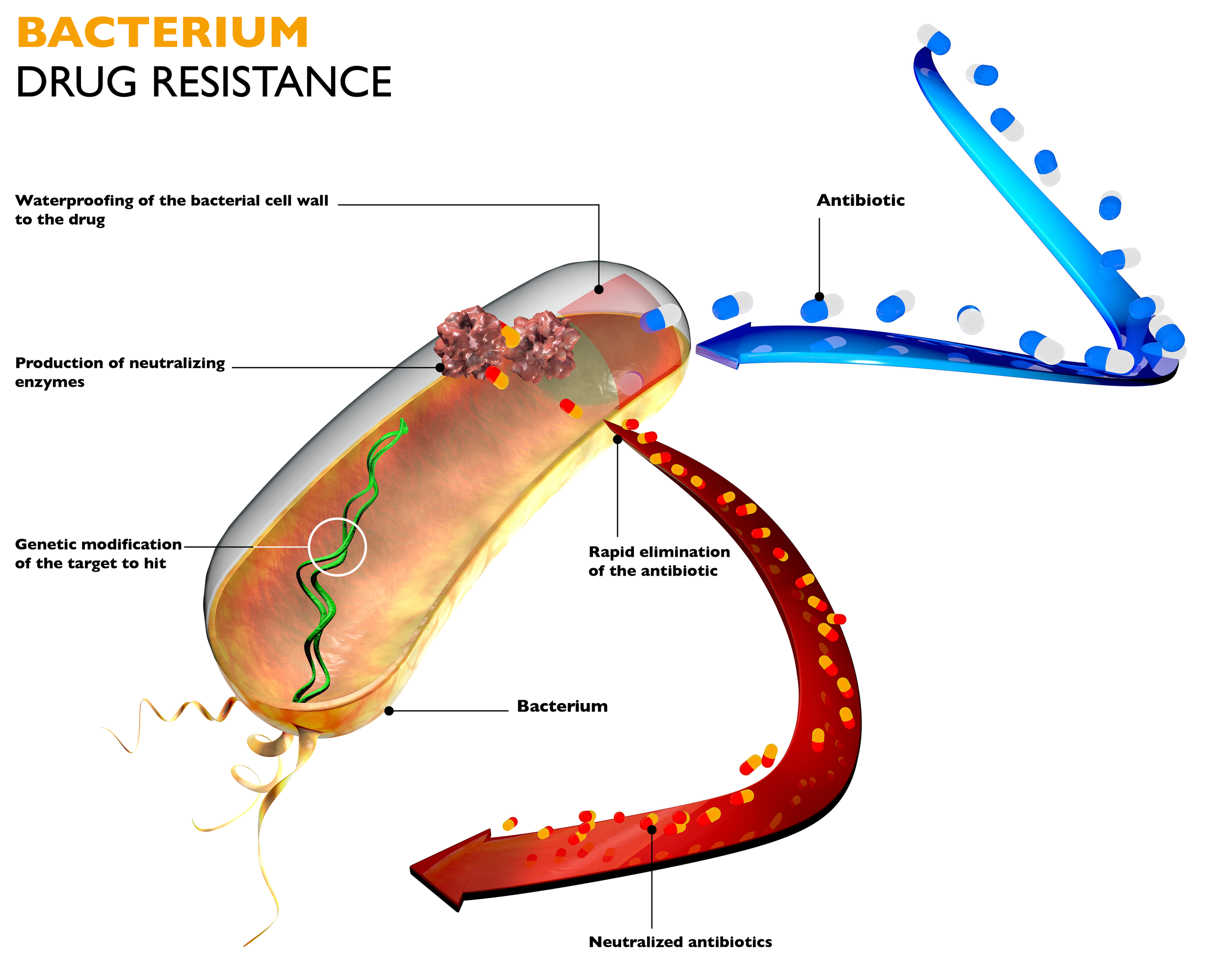 antimicrobial-resistance-the-pharmaceutical-journal