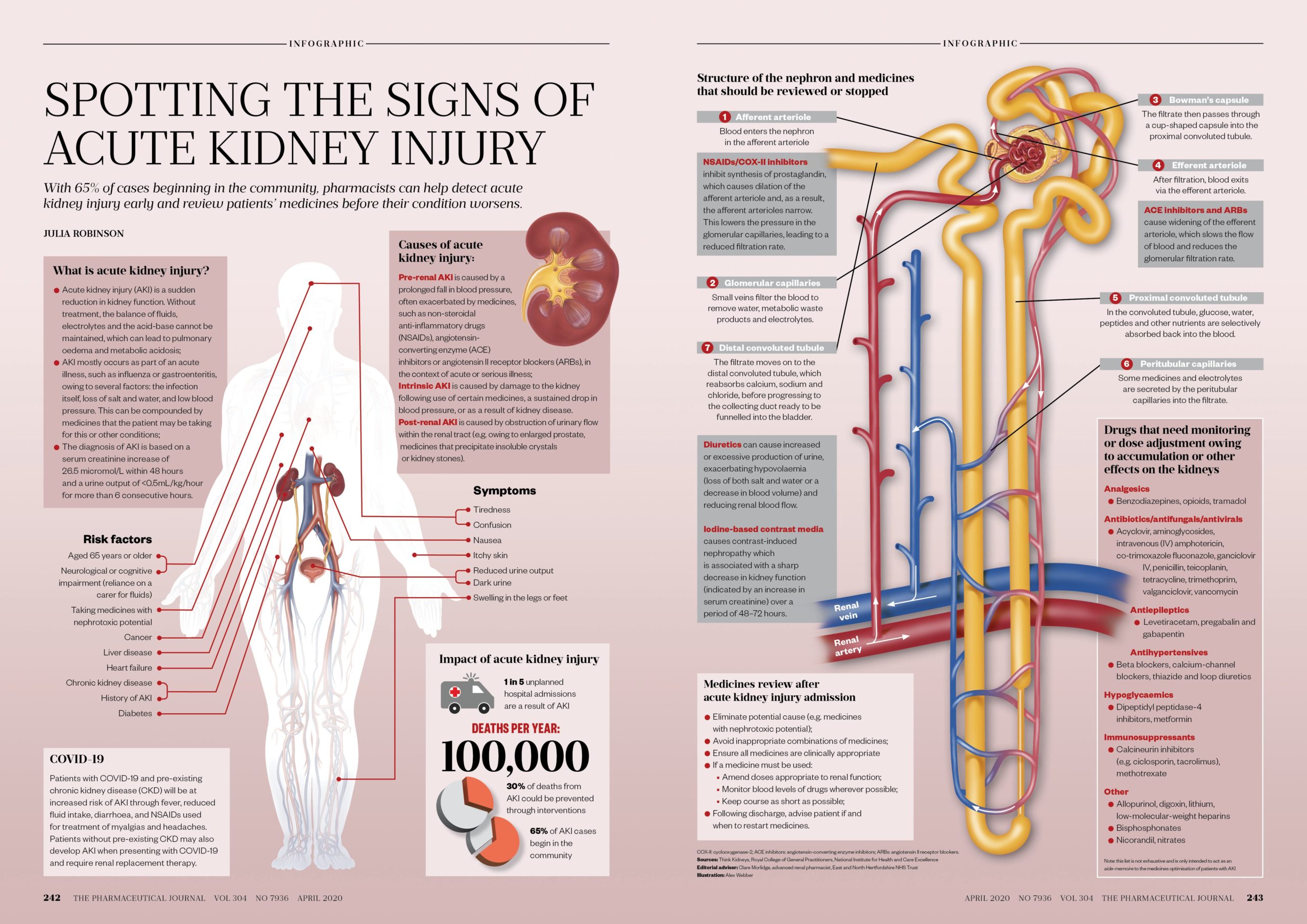 clinical presentation of kidney damage