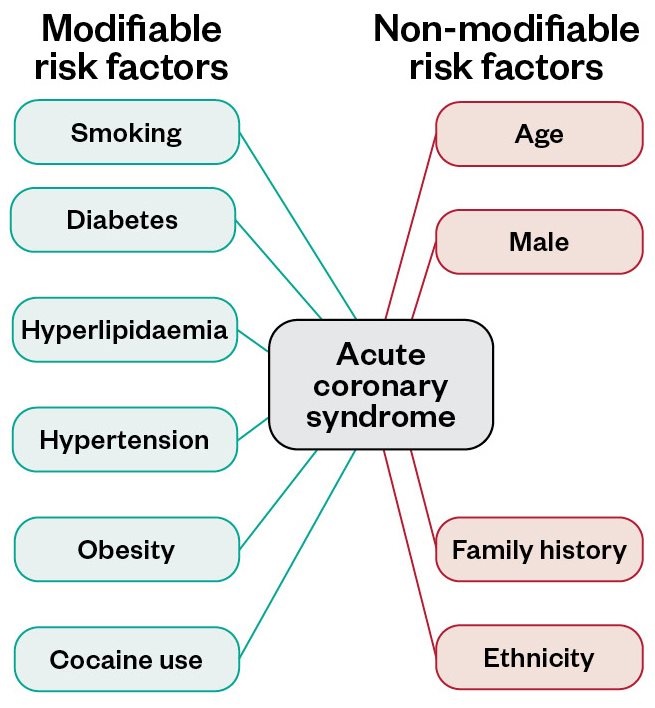 Acute Coronary Syndrome Risk Factors Diagnosis And Treatment The