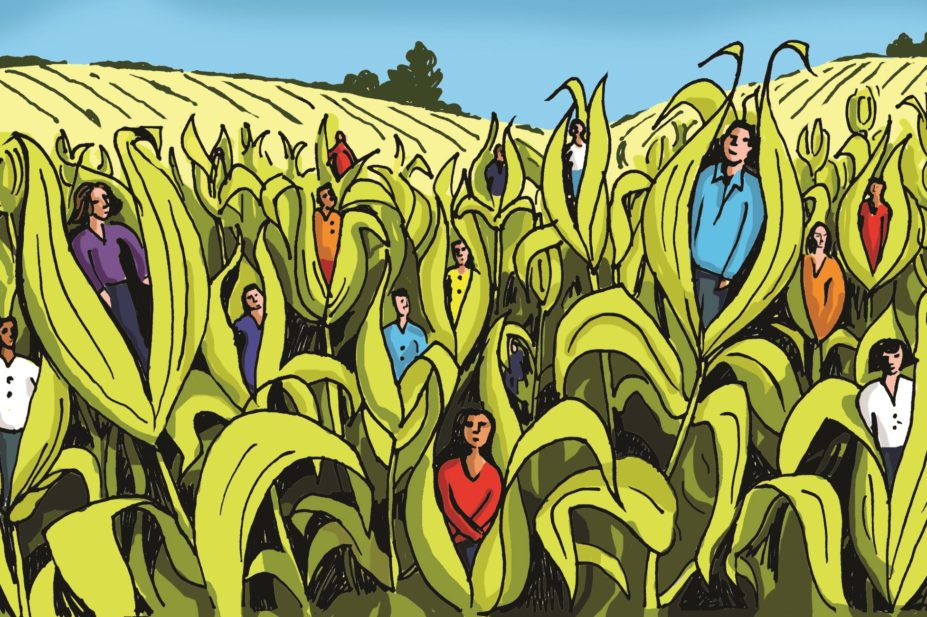 Field-crop-Illustration