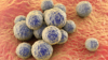 Methicillin-resistant Streptococcus aureus