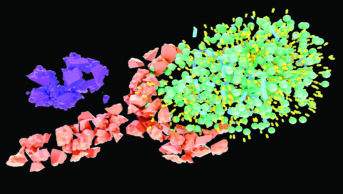 The degradation of a low-density lipoprotein molecule (LDL, upper right), LDL receptor (orange, centre-left) and a molecule of the enzyme proprotein convertase subtilisin/kexin type 9 (PCSK9, blue)