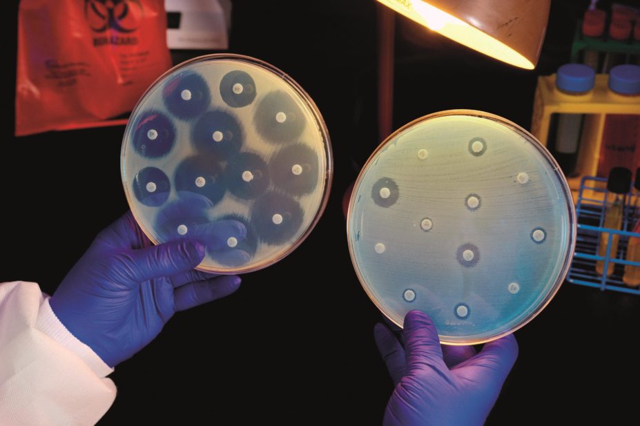 Growing antimicrobial resistance is growing and results in 25,000 deaths in Europe each year. In the image, enterobacteriaceae (CRE) bacterium in an antibiotic susceptibility test proved to be resistant to all of the antibiotics tested