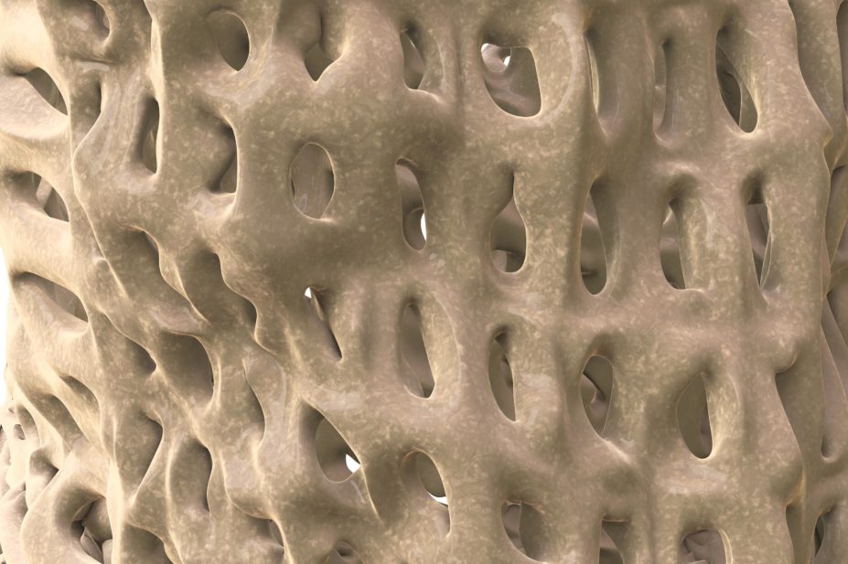 Close up of 3D rendered illustration of a porous bone structure