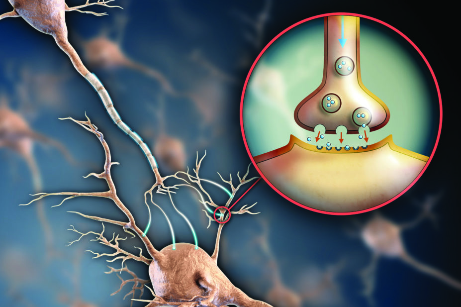 Illustration of brain synapse
