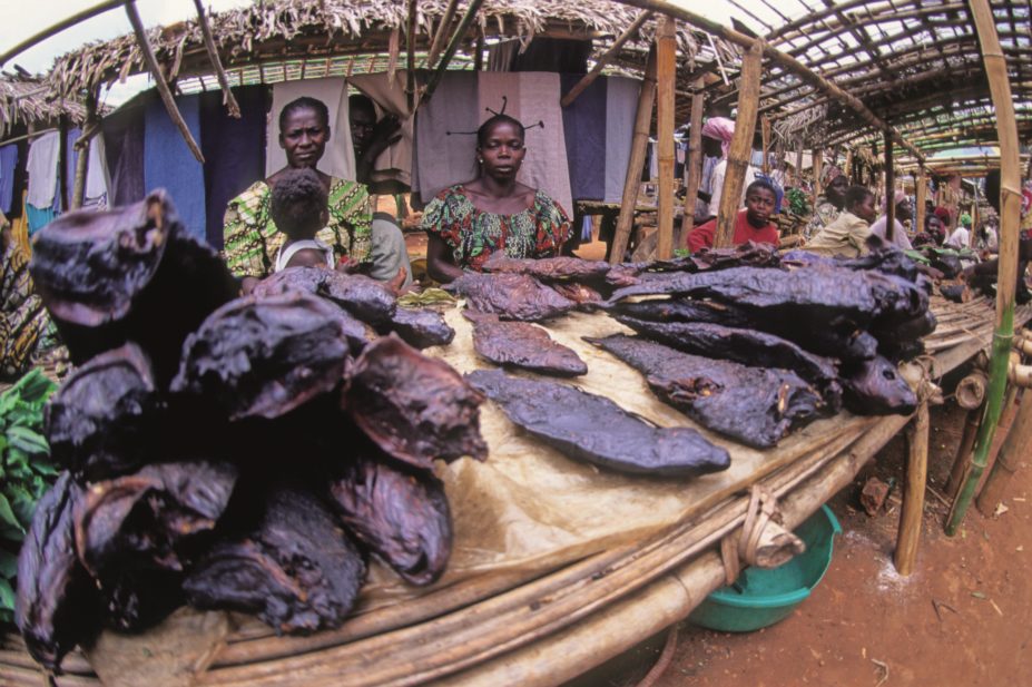 Bushmeat market in Africa. A separate Ebola outbreak in a rural region of the Democratic Republic of Congo in August 2014 was thought to have originated in a woman returning from an animal market, was identified and dealt with rapidly