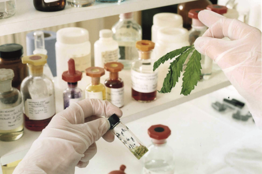 FDA Grants First Approval Of A Cannabis-derived Medicine - The ...