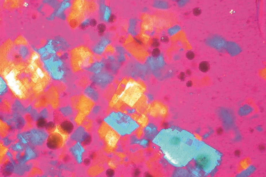 The US Food and Drug Administration has approved alirocumab (Praluent), days after evolocumab (Repatha) became the first PCSK9 inhibitor to be approved in the world. In the image, cholesterol crystals against polarised light