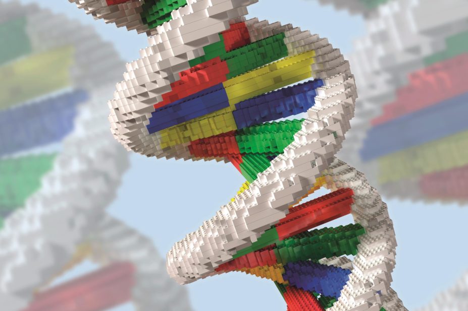 From flu vaccines to Mars missions, scientists are engineering biological systems to meet the medical needs of the 21st century. In the image, a double helix made out of lego bricks, a concept that refers to synthetic biology