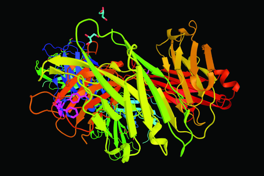 3D structure of the anticoagulant, dabigatran
