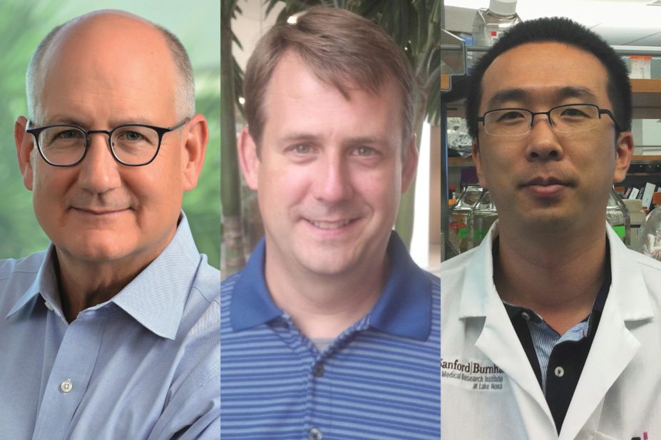 Some of the researchers who discovered the MondoA molecule. From left, Daniel P Kelly, Rick Vega and Byungyong Ahn