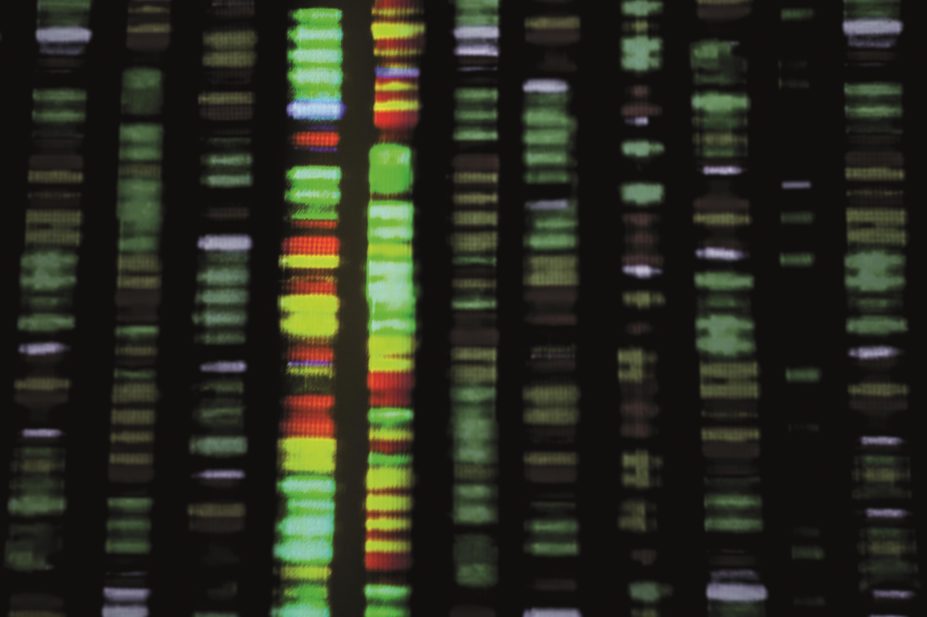 Since the completion of the Human Genome Project there has been rapid progress in identifying genes that influence human health and disease. In the image, DNA strands