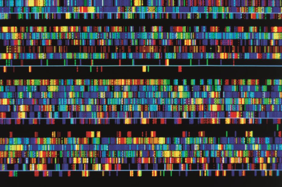 Cancer genome sequencing and screening for mutations in tumours could be the route to customised drug treatments for cancer