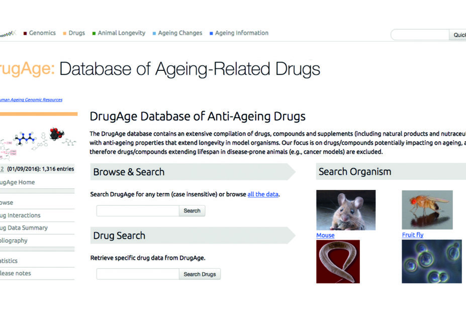 DrugAge website screenshot