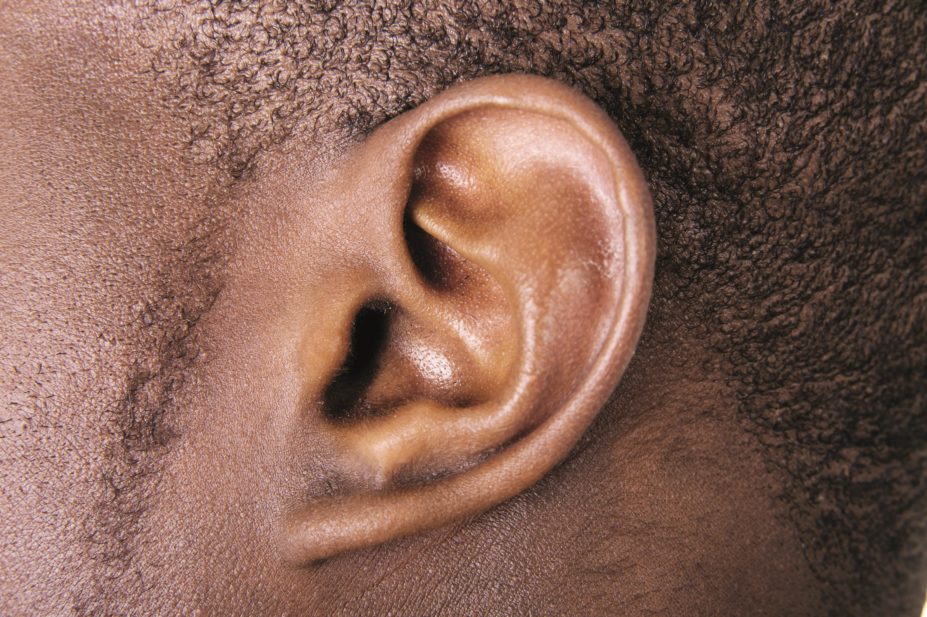 Inflammation increases the risk of hearing loss associated with the use of aminoglycoside antibiotics, according to a study. In the image, close-up of an ear