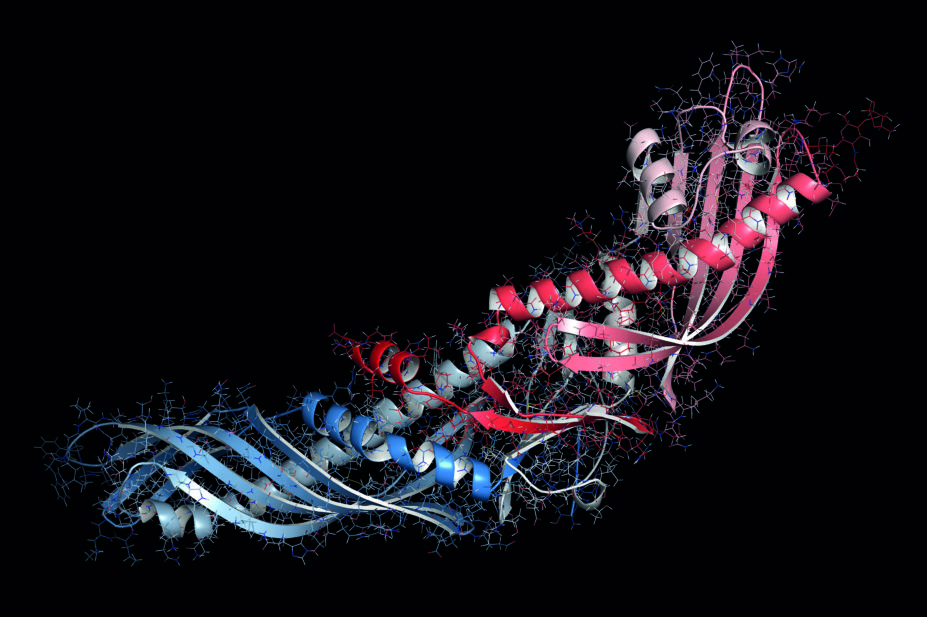3D render of the cholesterol ester transfer protein inhibitor, evacetrapib