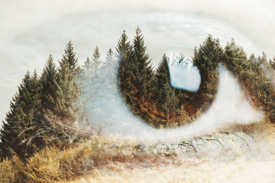 Eye with forest in background