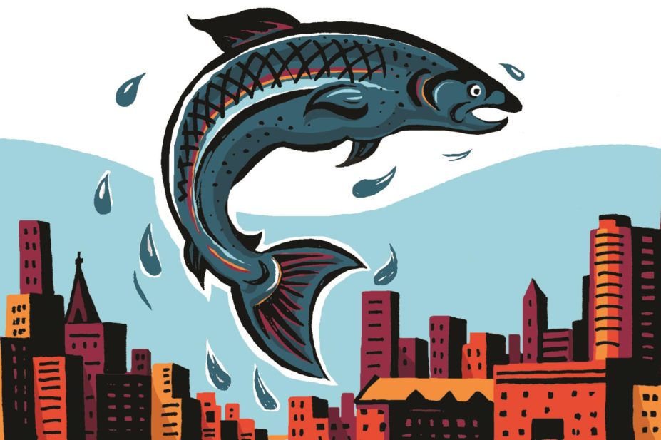 The author states that if we rely a bit less on pharmacotherapy, and give a bit more consideration to the environmental implications of our inner fish we can deal with the obesity problem more effectively. In the image, a fish out of water, in a city