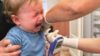 Researchers have carried out a study in children aged two years and under to learn more about how injectable influenza vaccines trigger immunity in this group. In the image, a toddler receives a flu vaccine