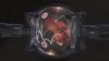Among scientists and health professionals there are differing opinions on how far we should take genetic engineering. In the image, futuristic illustration of a foetus in a glass uterus