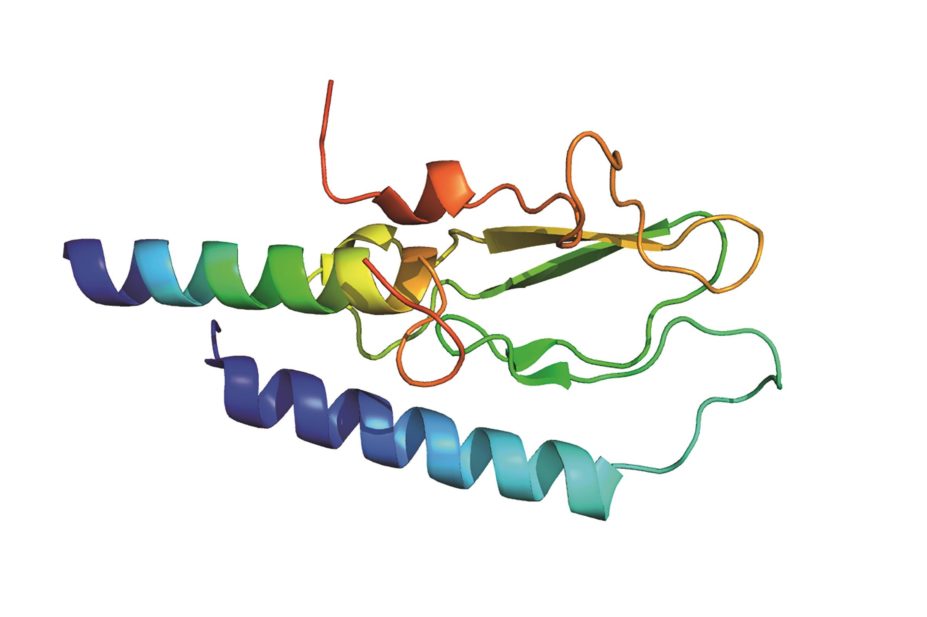 Structure of glucagon-like protein-1 receptor (GLP1R)