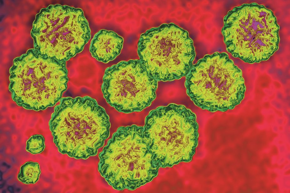 The National Institute for Health and Care Excellence (NICE) has confirmed that three additional and expensive treatments should be available on the NHS for treating routine hepatitis C infection in some adults. Pictured, micrograph of hepatitis C virus
