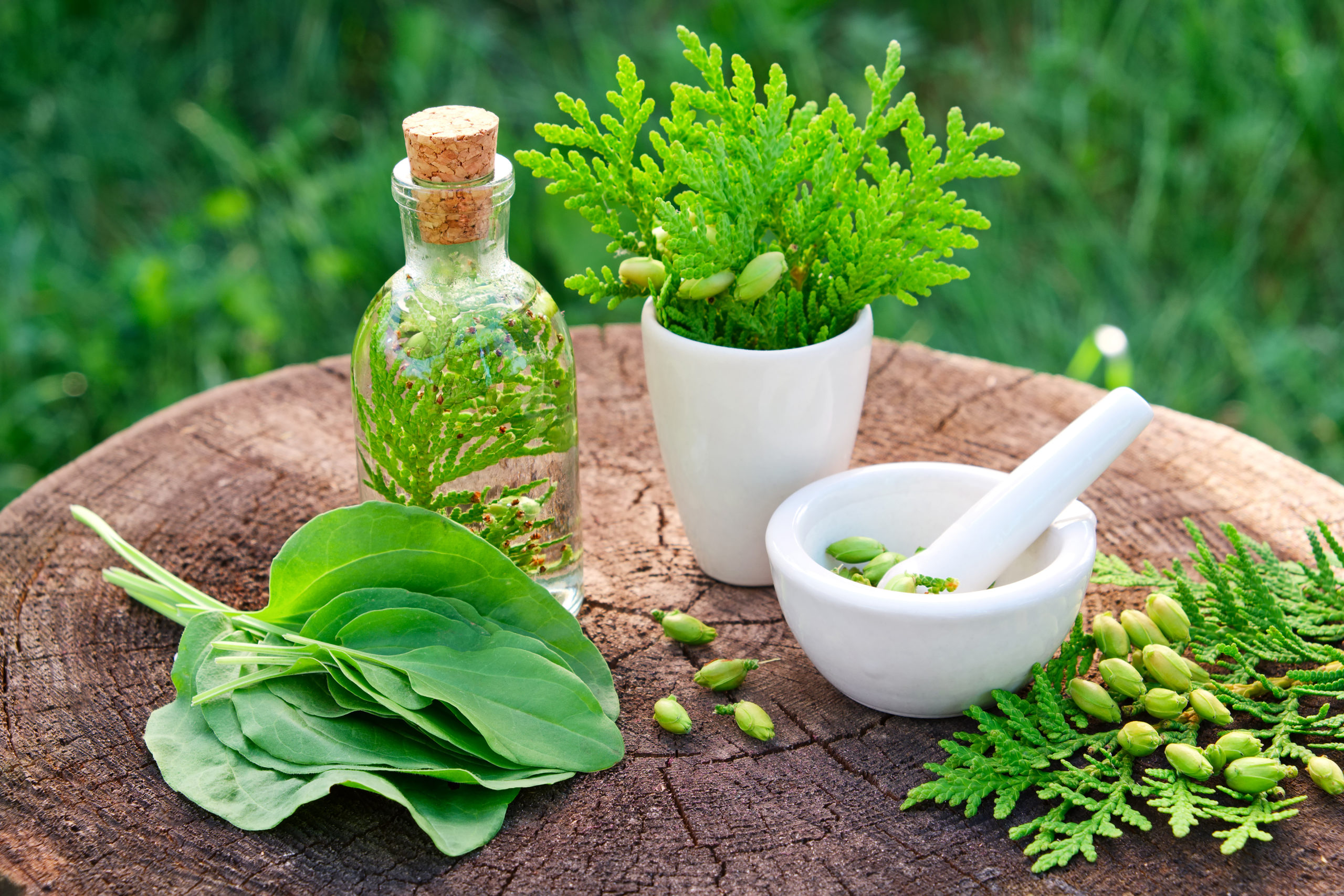 Top 5 Most Effective Herbal Product Marketing Strategies