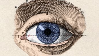 Historical illustration of an eye