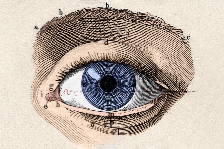 Historical illustration of an eye