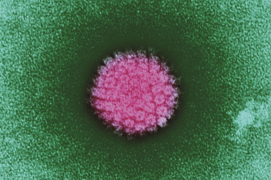 A safety review of human papillomavirus (HPV) (pictured) vaccines, which protect young women against cervical cancer and other conditions, has been launched by the European Medicines Agency (EMA)