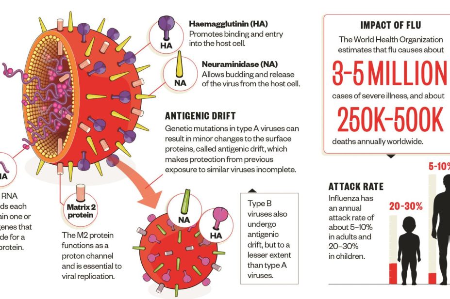 Impact and challenges of the flu virus