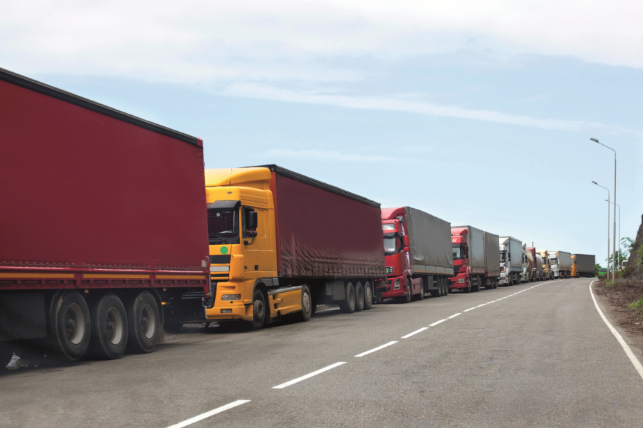 The government is to prioritise freight capacity for importing medicines and medical devices over “critical food chain dependencies” in the event of a no-deal Brexit.