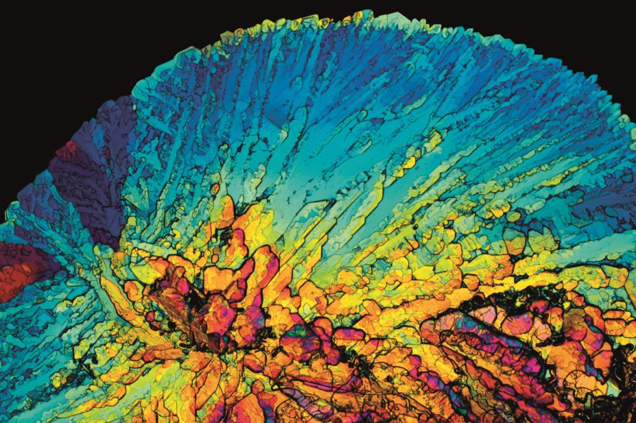 US researchers have created insulin-producing cells and successfully transplanted them in vivo into the kidneys of diabetic mice. In the image, light micrograph of insulin crystals