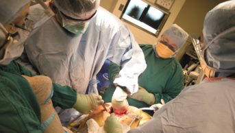 Joint replacement surgery (pictured) should be considered when a patient with OA suffers persistent debilitating symptoms despite treatment