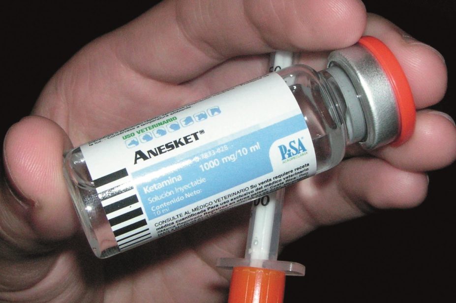 A vial of ketamine