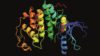 A team of researchers has developed a platform to screen new drug compounds by detecting their effect on the activity of enzymes called kinases (pictured), which help regulate biological pathways in healthy human cells through phosphorylation