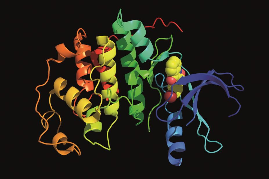 A team of researchers has developed a platform to screen new drug compounds by detecting their effect on the activity of enzymes called kinases (pictured), which help regulate biological pathways in healthy human cells through phosphorylation