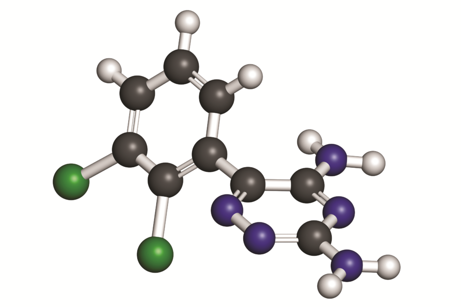 Molecular structure of lamotrigine