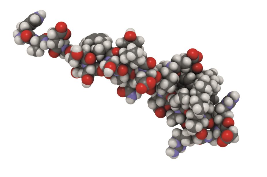 Molecular structure of liraglutide
