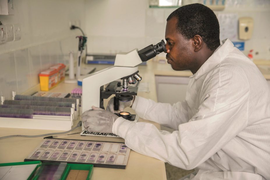 A technician at work in a lab focused on malaria research