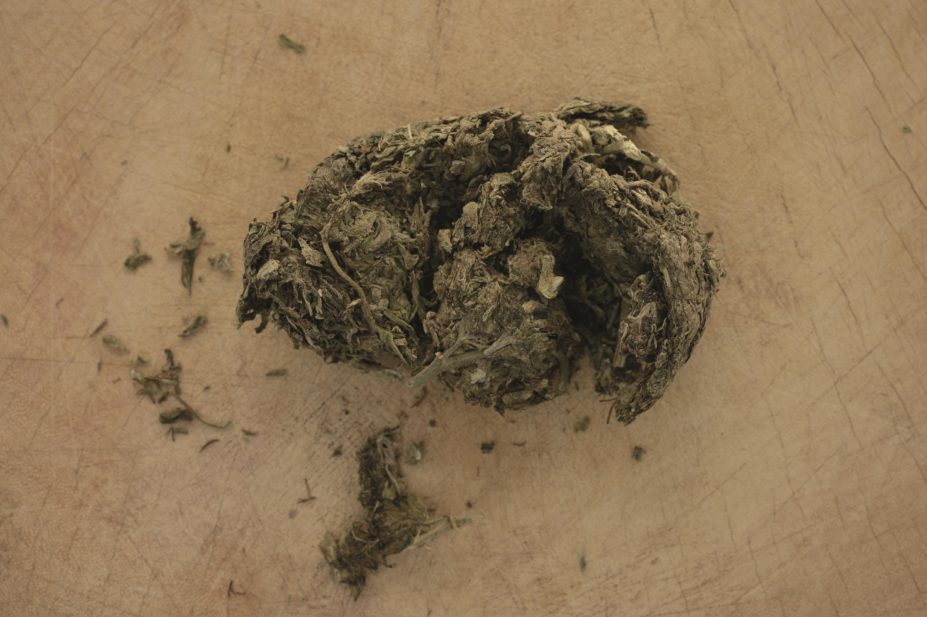 A study on medical marijuana shows no benefit on the behavioural symptoms of dementia. In the image, dried marijuana leaves