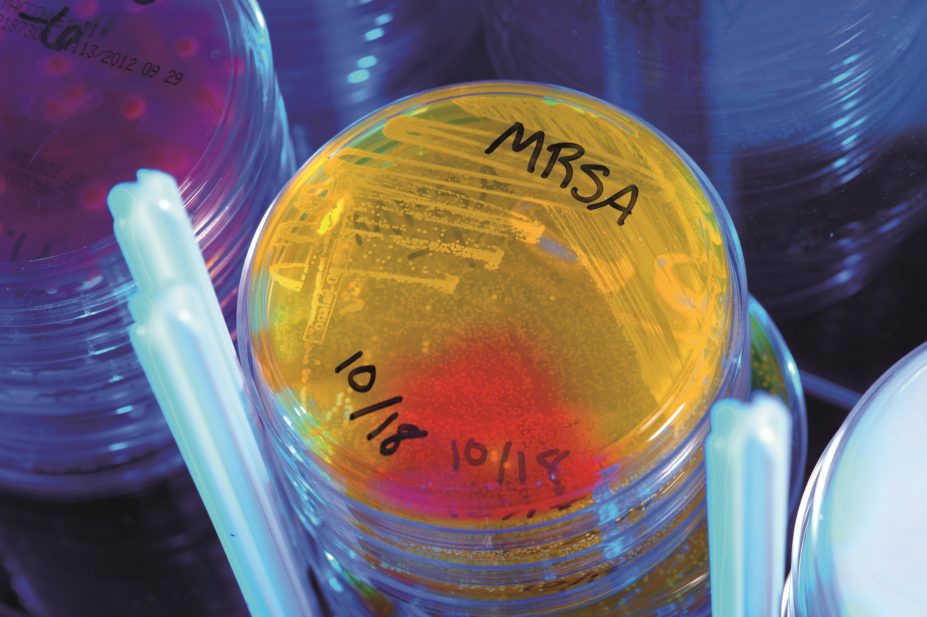 Eighty five pharmaceutical, diagnostics and biotechnology companies and nine industry associations across 18 countries signed a joint Declaration on Combating Antimicrobial Resistance. In the image, MRSA bacteria in a petri dish