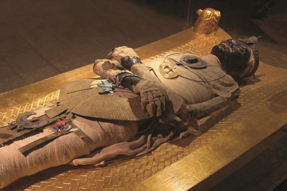 Different types of mummy could be used to make tincture, treacle, elixir or balsam, which could in turn be used for treating different types of affliction