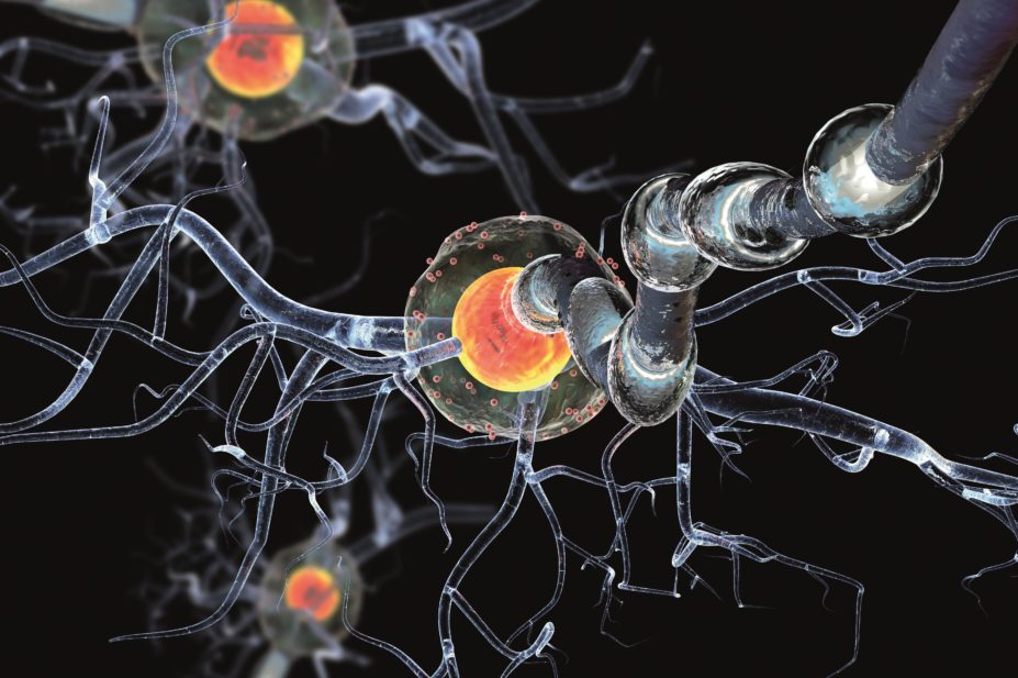 Patients with Parkinson’s disease in Wales will be offered medicines use reviews (MURs) at their local pharmacy throughout June as part of a campaign to raise awareness of the disease. In the image, an artist's impression of neurons