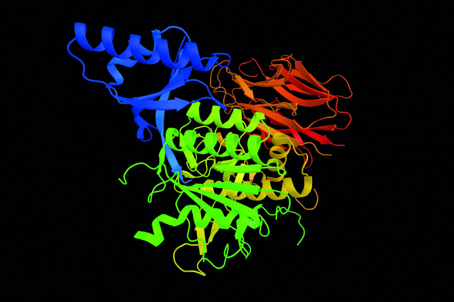 3D structure of proprotein convertase subtilisin/kexin type 9 (PCSK9) inhibitors