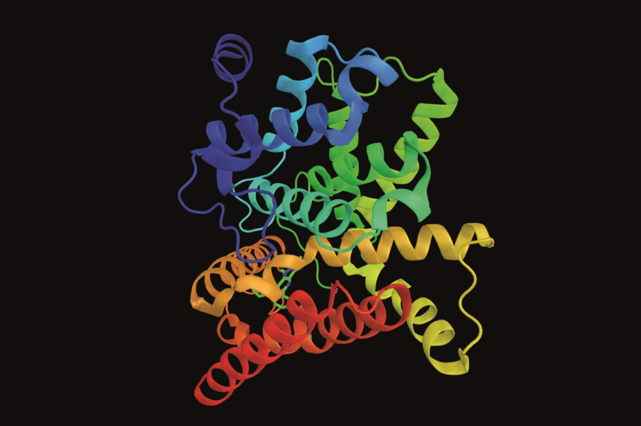 Molecular structure of phosphodiesterase type 5