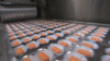 Pills, pharmaceutical manufacturing company