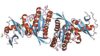 Researchers find way to target RAS protein (pictured), the most frequently mutated oncogene in a third of human cancers